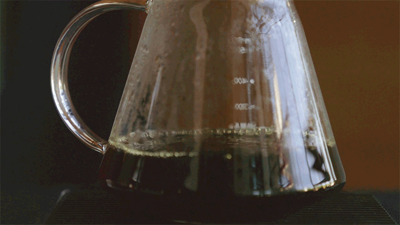 HOW TO BREW: AUTOMATIC DRIP